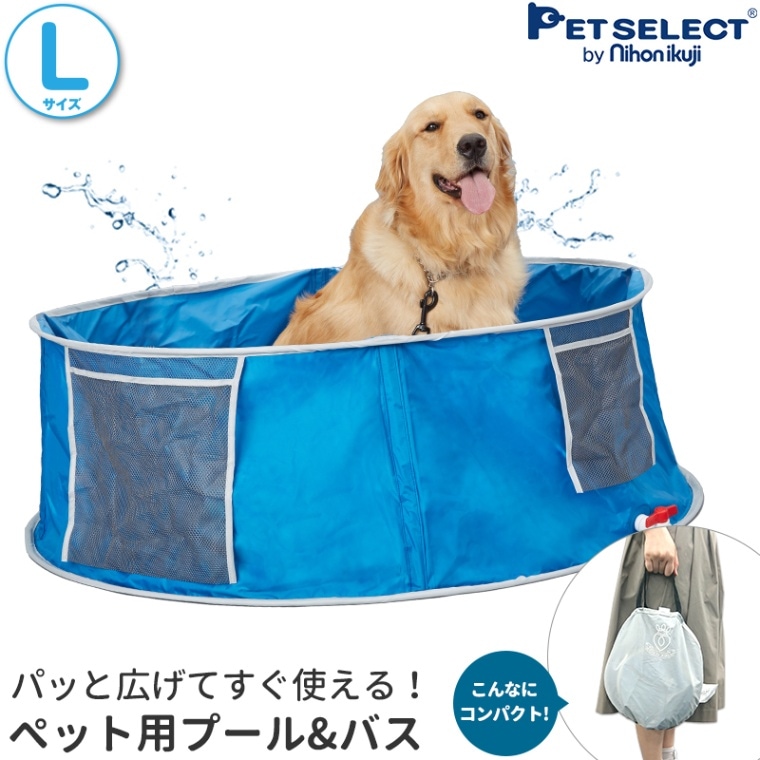 PET 千趣会 ロイヤルペット 12体〈防水発送します〉 PET 千趣会