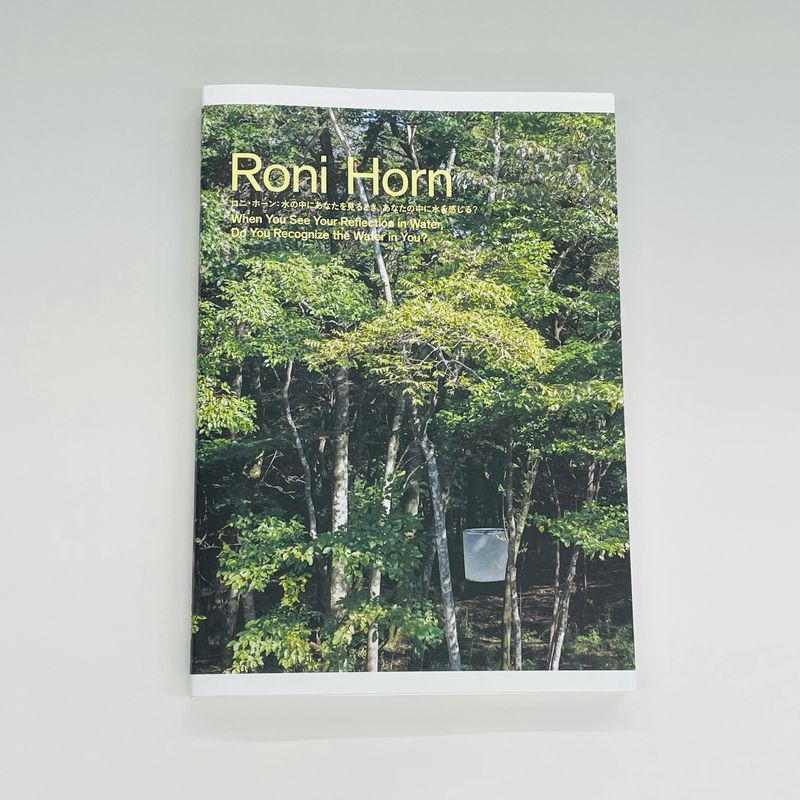 ロニ・ホーン：水の中にあなたを見るとき、あなたの中に水を感じる