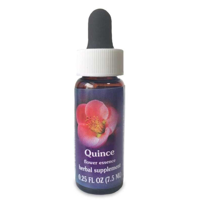 クインス 《FESフラワーエッセンス》 7.5ml（取り寄せ品）｜フラワー