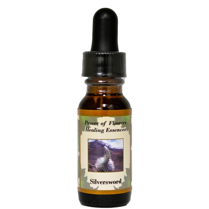 シルバーソード（霊的目覚めと高次の自己と真実とつながる）《パワー