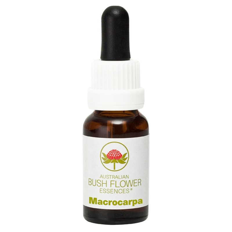 マクロカーパ《オーストラリアンブッシュ フラワーエッセンス》15ml