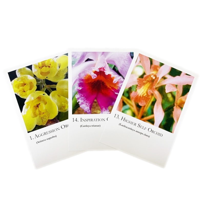 オーキッドシリーズカード《コルテPHIエッセンス》全20枚｜フラワー