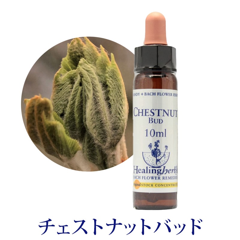 チェストナットバッド《ヒーリングハーブス》10ml｜フラワーレメディ