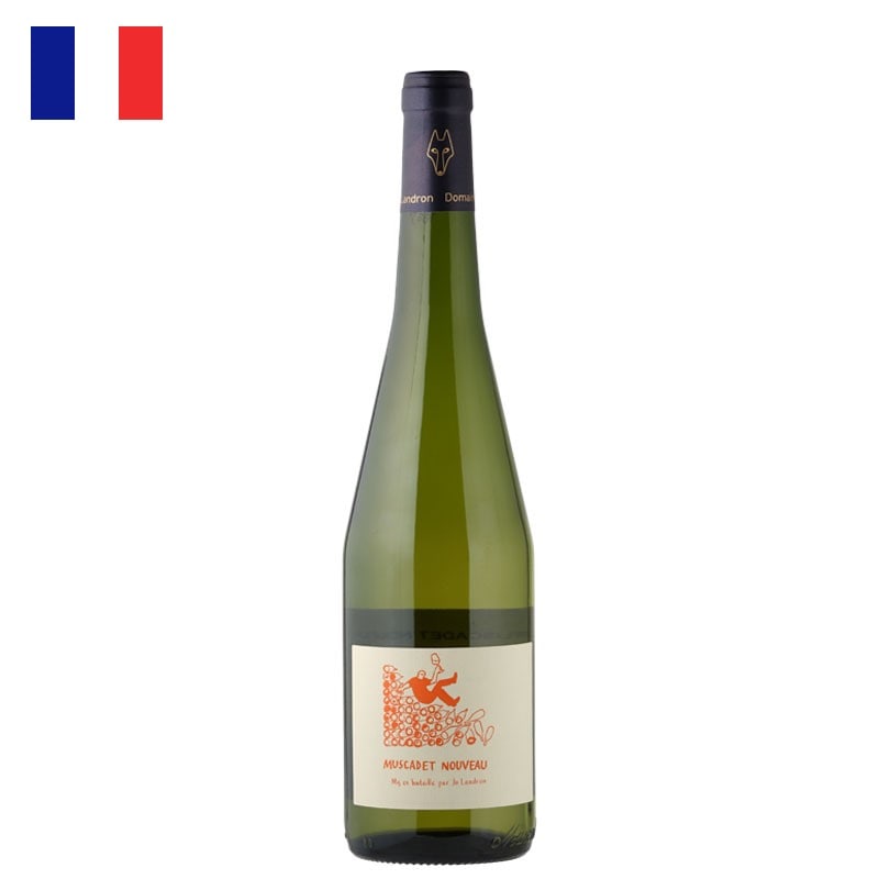 ドメーヌ・ランドロン / ミュスカデ・ヌーヴォー 2024 | 産地,フランス