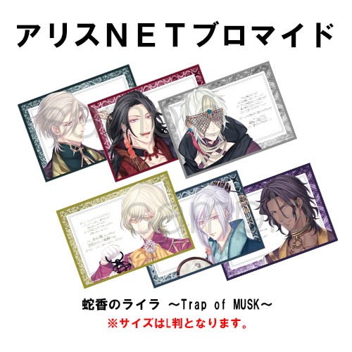 NS】 蛇香のライラ ～Trap of MUSK～ 通常版 (キャラクターメッセージ