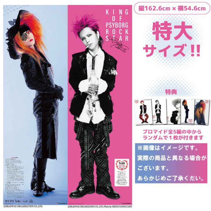 hideパノラマ新聞 | サンスポe-shop