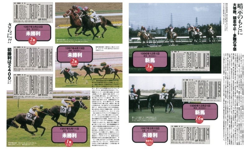 週刊100名馬復刻版】ステイゴールド | サンスポe-shop