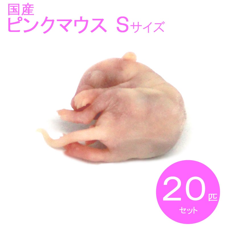 冷凍マウス ピンクマウス S 20匹 国産 SAfarm | 冷凍マウス