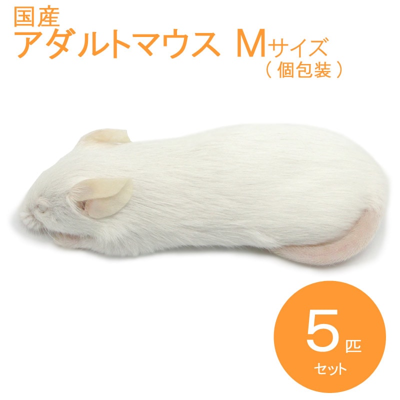 冷凍ヤワゲ【Aka658】 冷凍ヤワゲ【Aka658様】 冷凍ヤワゲ【Aka658様】