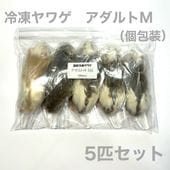 冷凍ヤワゲ | SAfarm 国産冷凍マウス・ラット専門店