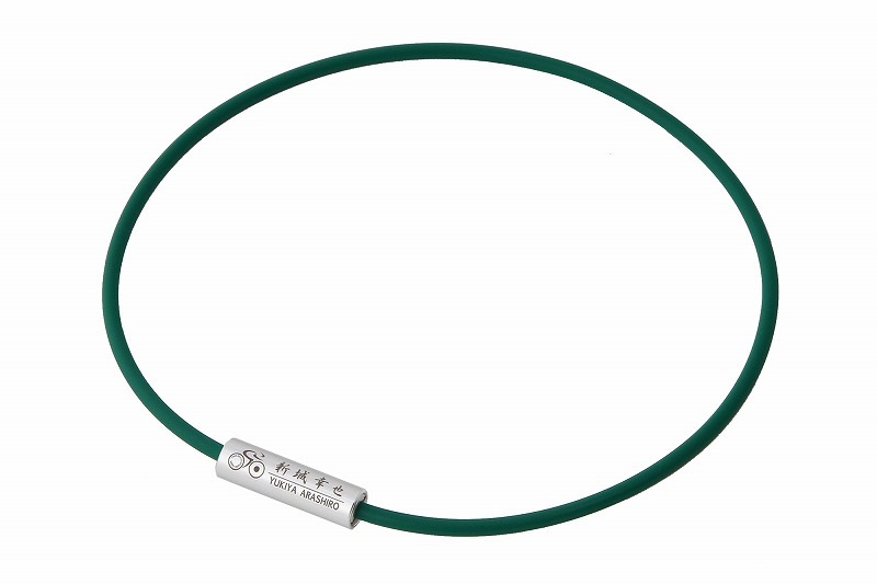 SEVオフィシャルオンラインショップ｜SEVルーパーtypeM TEAM Europcar