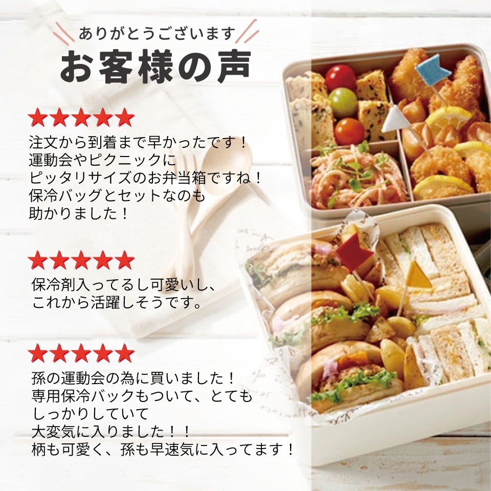 保冷バッグ付行楽ランチセット スヌーピー ピクニック