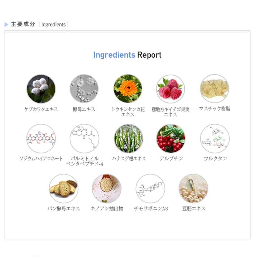 Rene-Cell Hicro Q Premium Ampoule | ルネセル ハイクロキュー