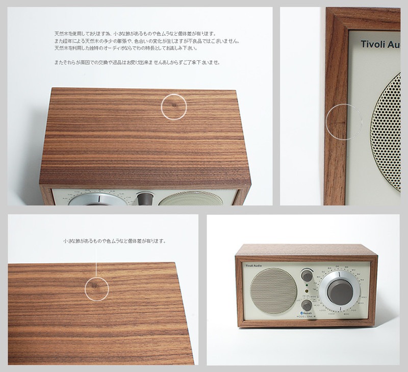 Tivoli Audio チボリオーディオ】 Model Two モデルツー【クラシック
