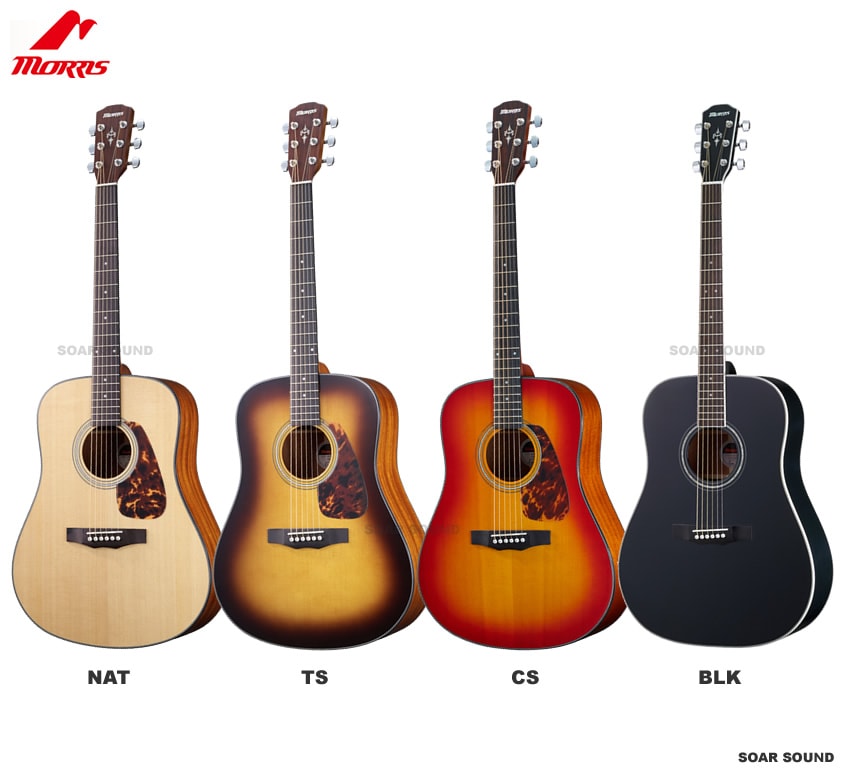 Morris モーリス アコースティックギター M-351 (I) アコギ エントリー