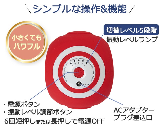 スタイリーボール スタイリーボール(体幹サポートベルト付き) （体幹