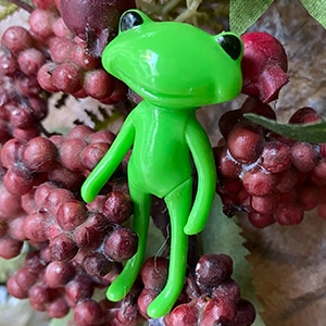 フォーチュンワンダフレンド ワンダ / FWF Wanda