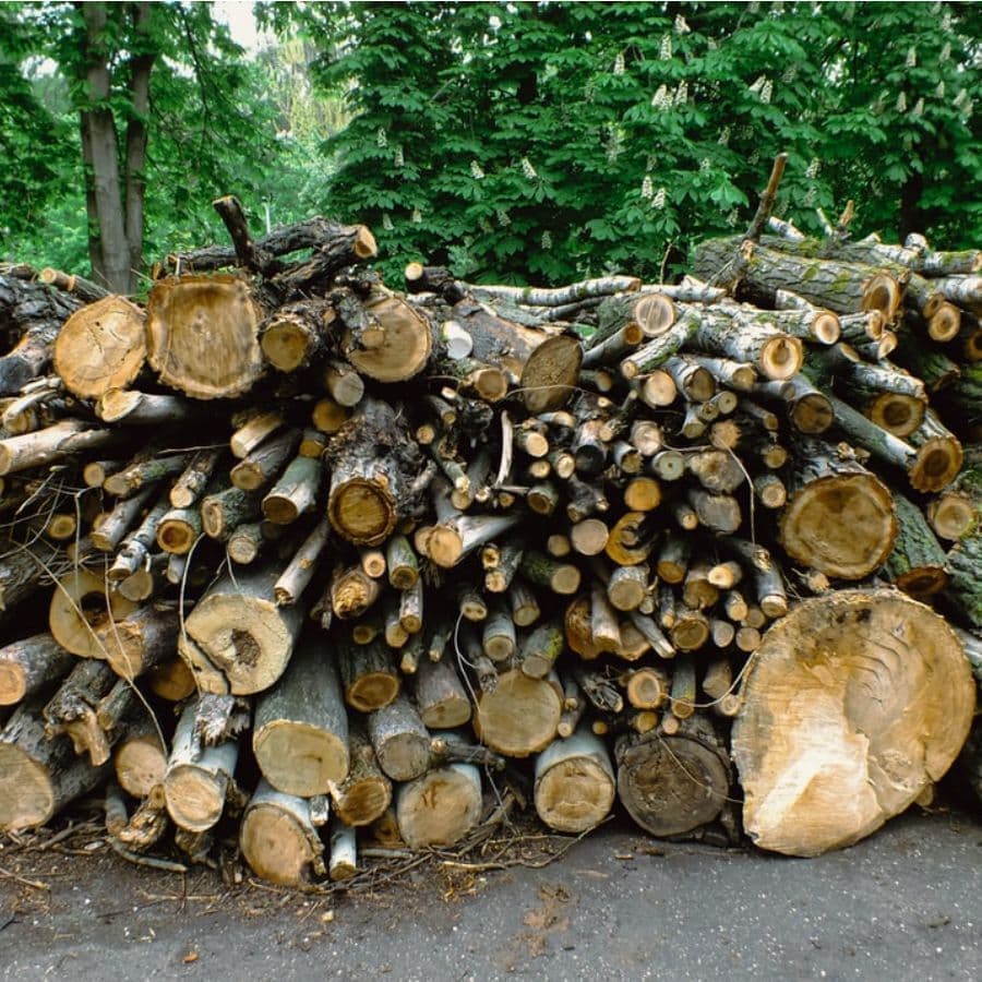 商品・サービスのご紹介