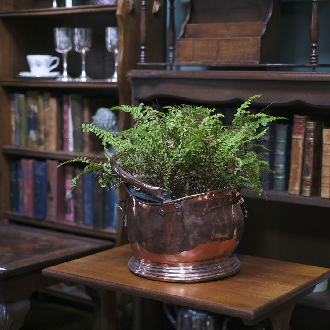 アンティークコールバケツ イギリス コッパー 銅製バケツの通販