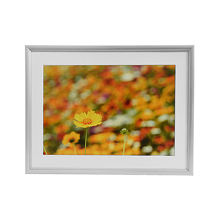 アルミ額縁 A32 全紙 シルバー: フレーム・額縁 | フジフイルムモール