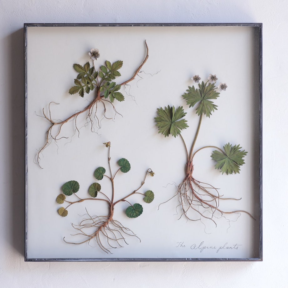 これが金属？！ モリソン小林の作品展「small plants」IDÉE TOKYOにて