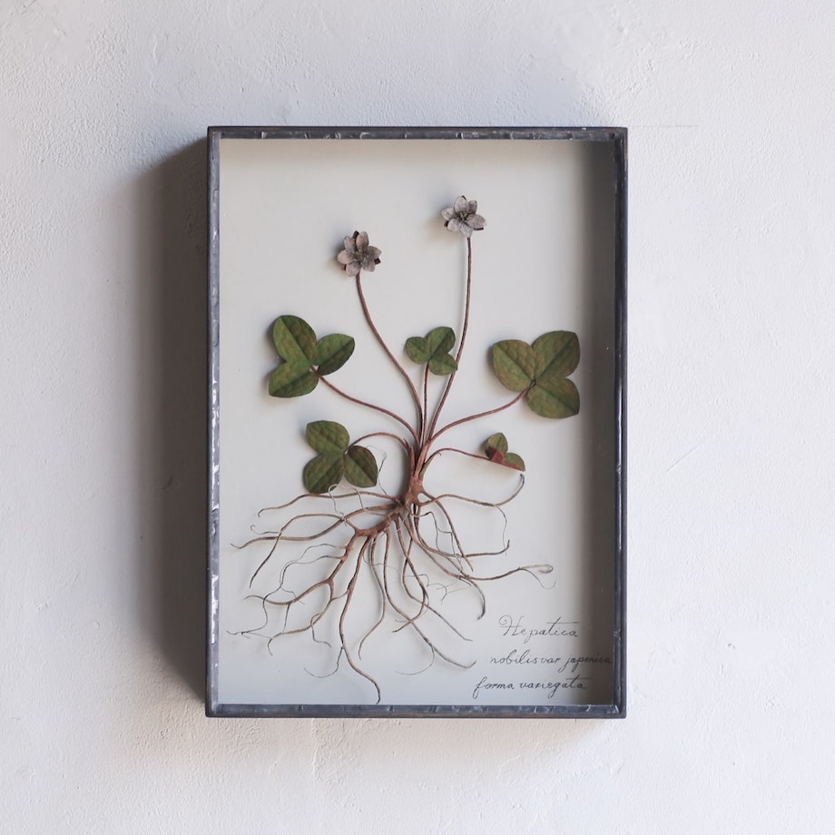 これが金属？！ モリソン小林の作品展「small plants」IDÉE TOKYOにて