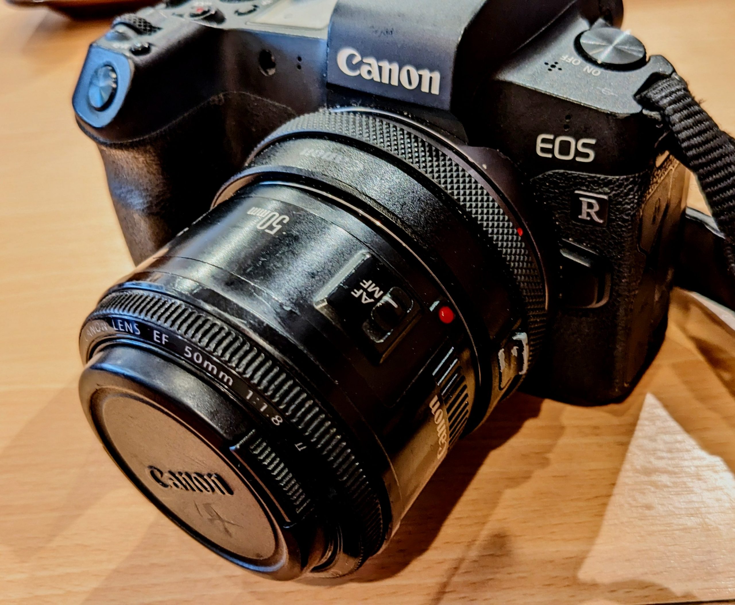 アールイーカメラマガジン | ロングセラーの「撒き餌レンズ」を徹底