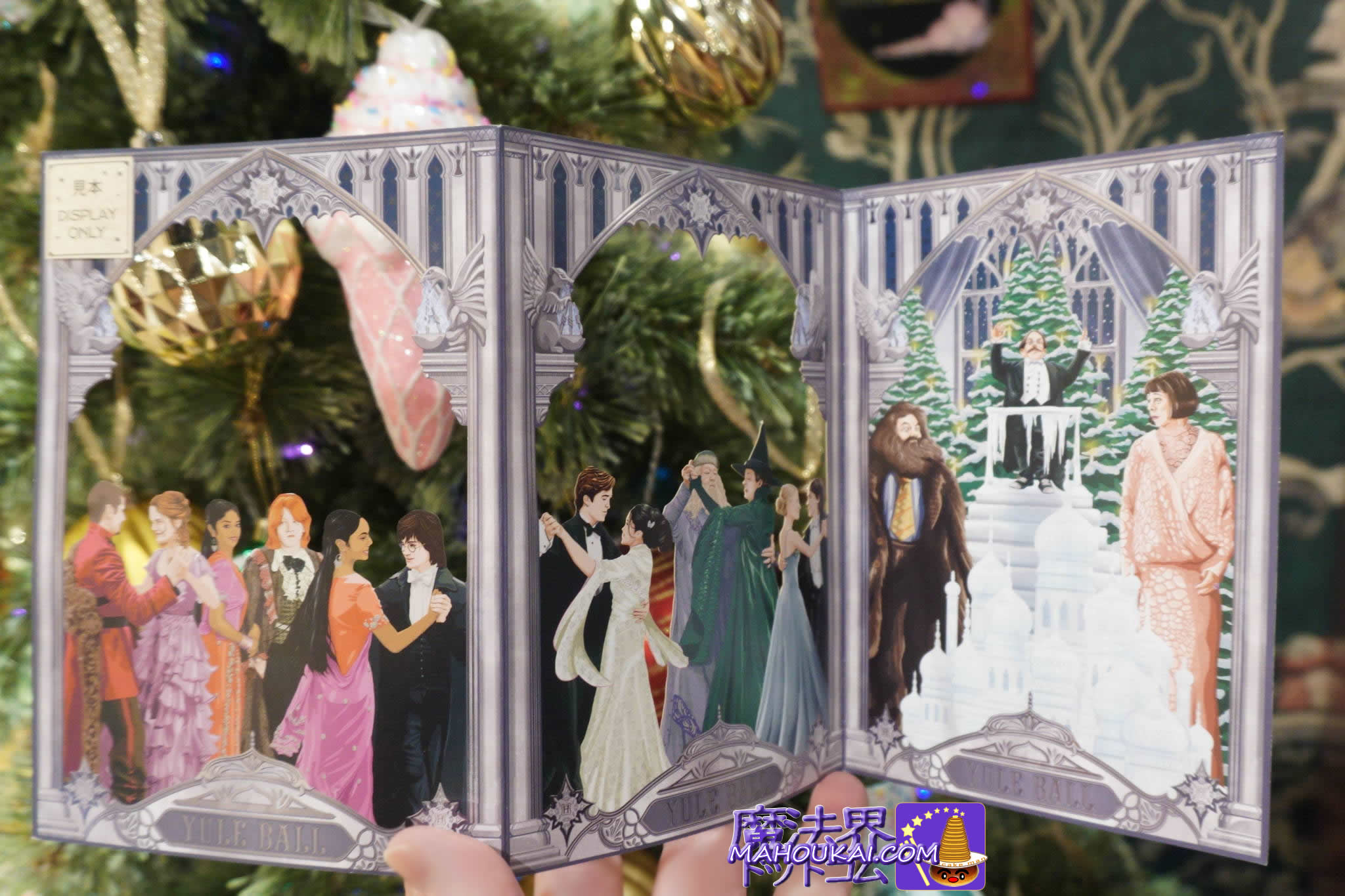 DSC02492minalima2025-2048-