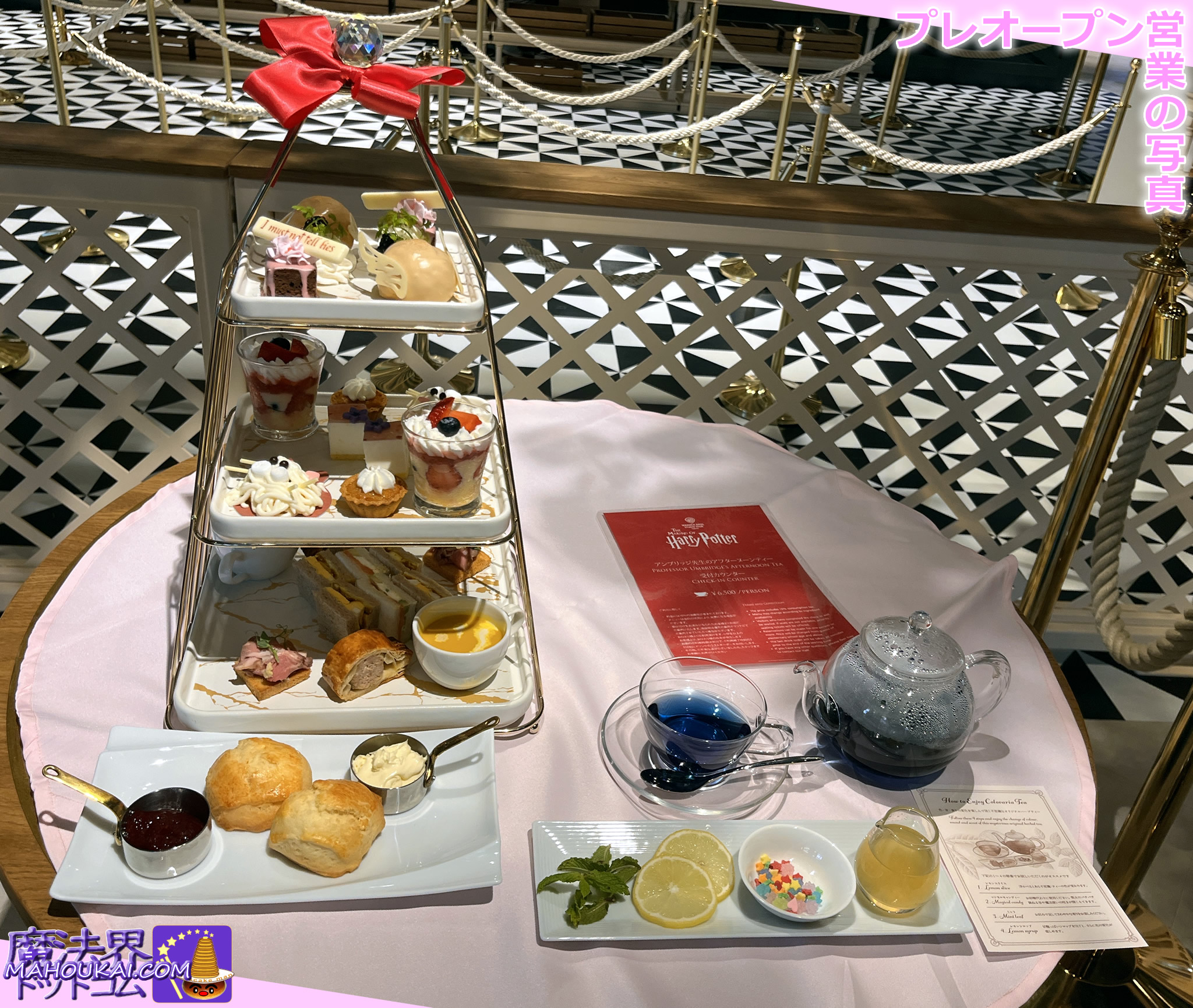 ハリー・ポッター スタジオツアー東京「アンブリッジ教授の