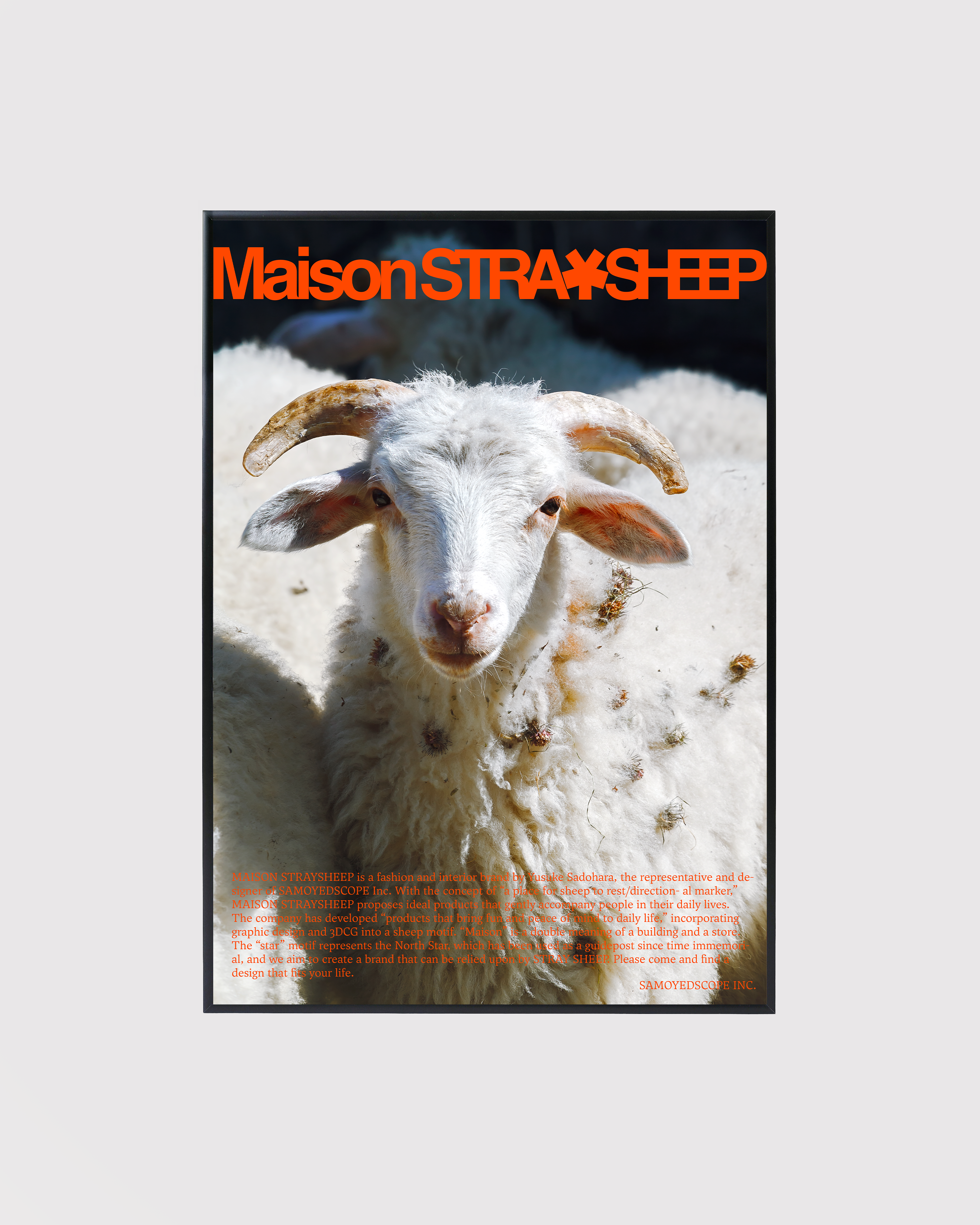 poster.png?v=1769785174&width=3222