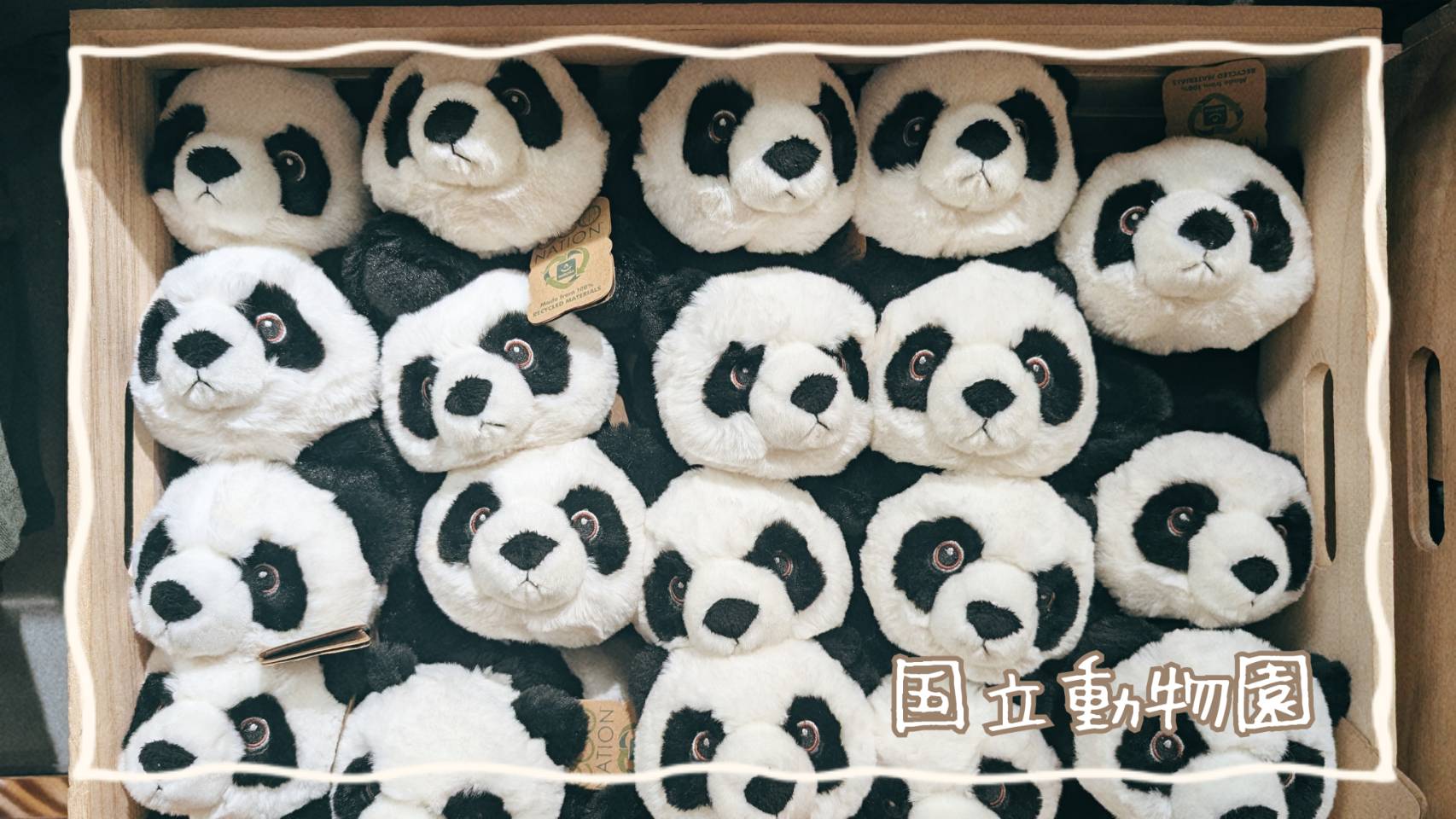 ワシントンDC】パンダ不在、国立動物園【スミソニアン博物館】 | やし