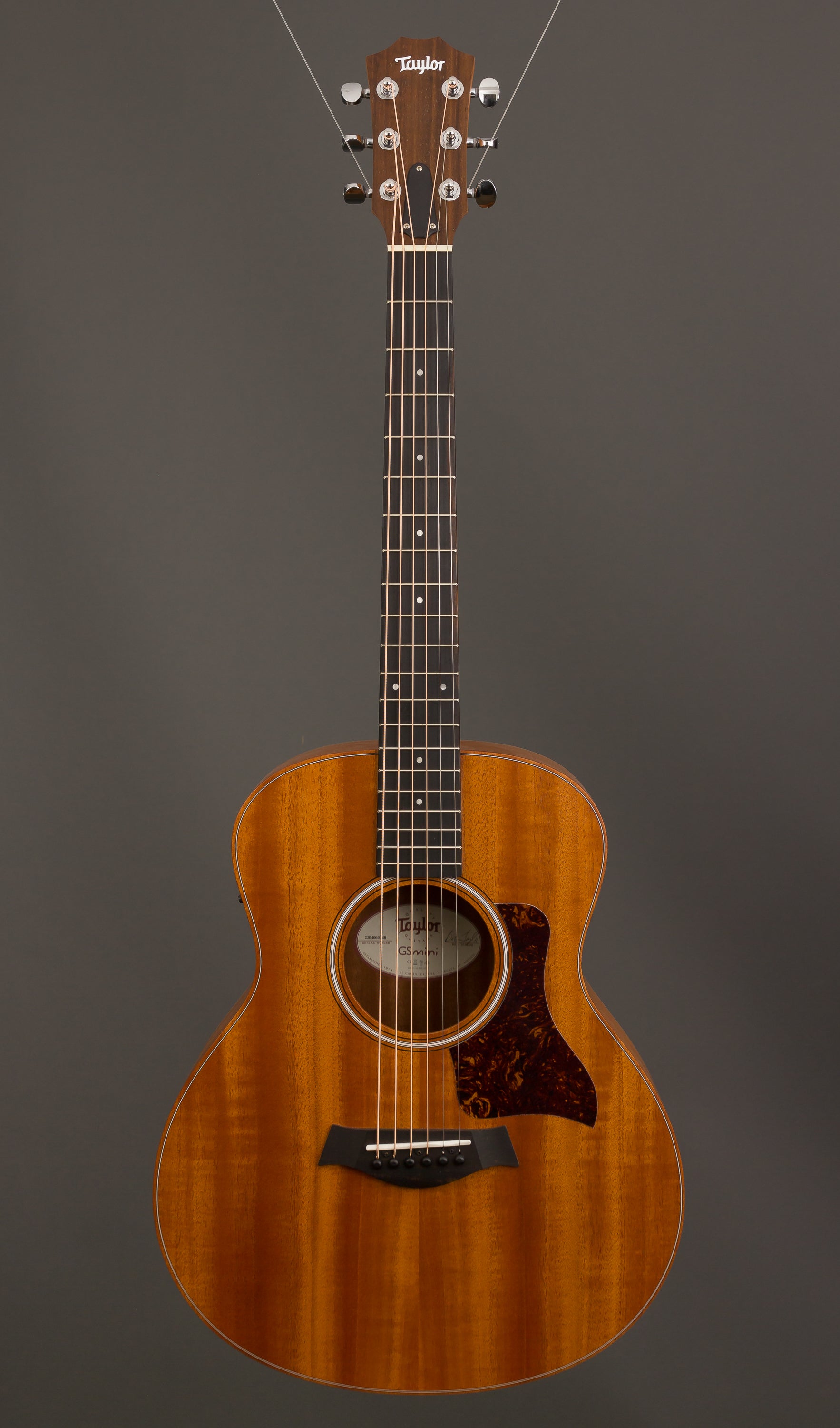Taylor Acoustic Guitars - GS Mini-e Mahogany | Mass Street Music