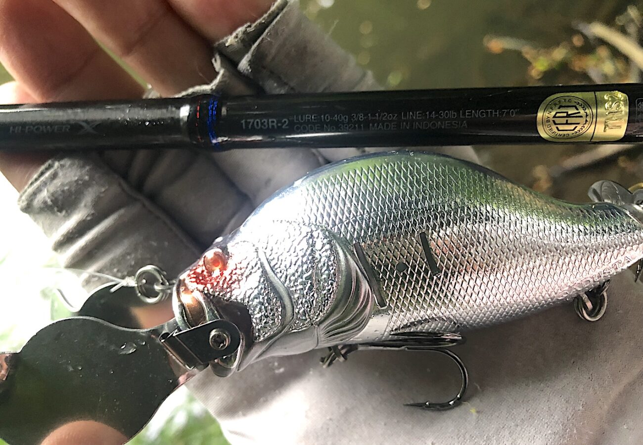 インプレ】シマノ「スコーピオン 1703R（2019年モデル）」を使った感想