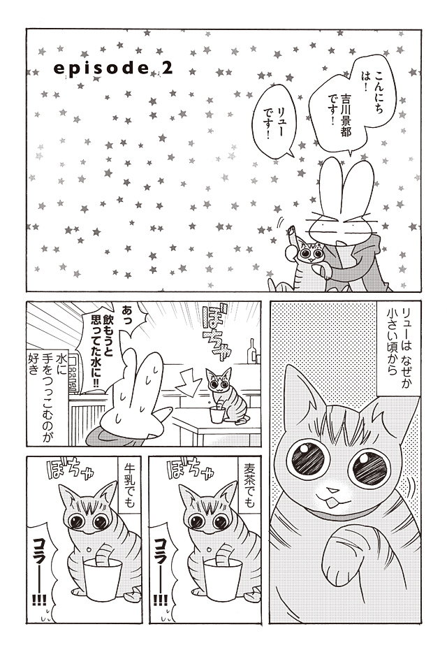 吉川景都直筆イラスト色紙 片桐くん家に猫がいるサイン色紙懸賞