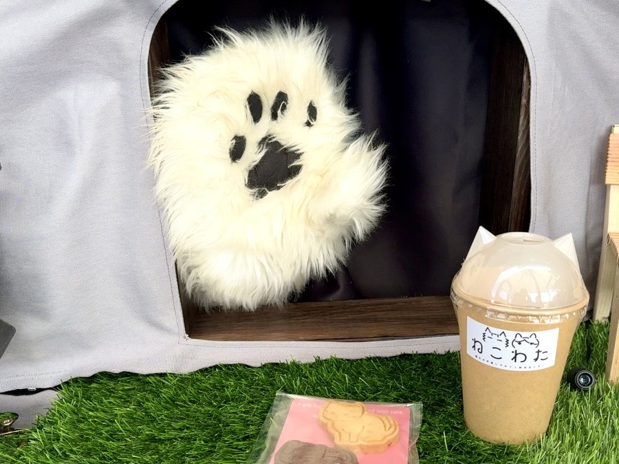 8AFBD5F6-0F41-4CCA-AA61-