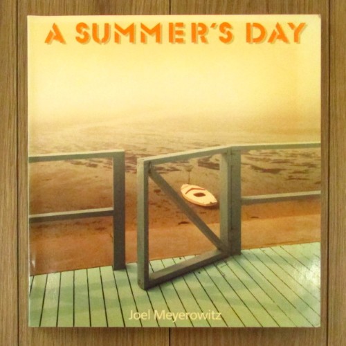 A SUMMER'S DAY / Joel Meyerowitz