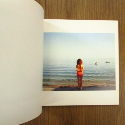 A SUMMER'S DAY / Joel Meyerowitz