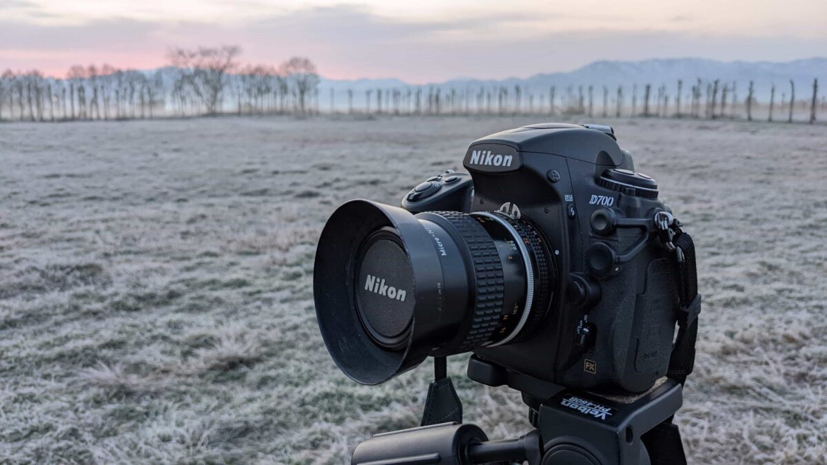 Nikon D700＋AI-S Micro NIKKOR 55mm f2.8】氷点下の福島潟でマクロ