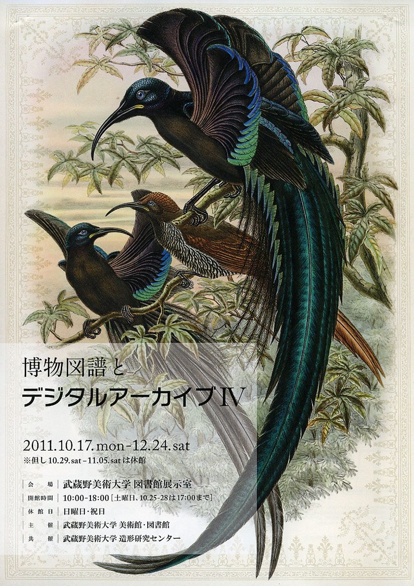 博物図譜とデジタルアーカイブⅣ | 美術館