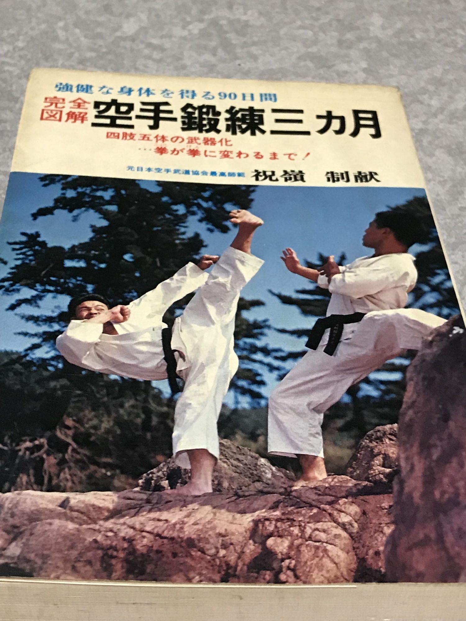 空手鍛錬三ヶ月 | martial arts log