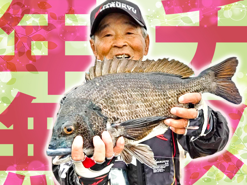 年無しチヌの一発！〜大分県乙津港 | マルキユー九州 フカセ釣り情報