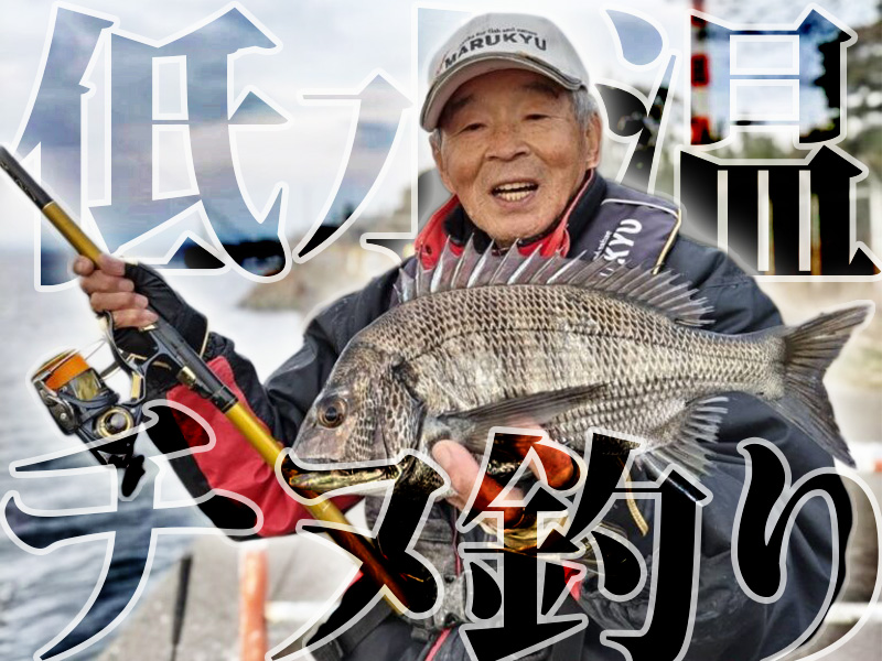 低水温でのチヌ釣り〜大分県乙津港 | マルキユー九州 フカセ釣り情報