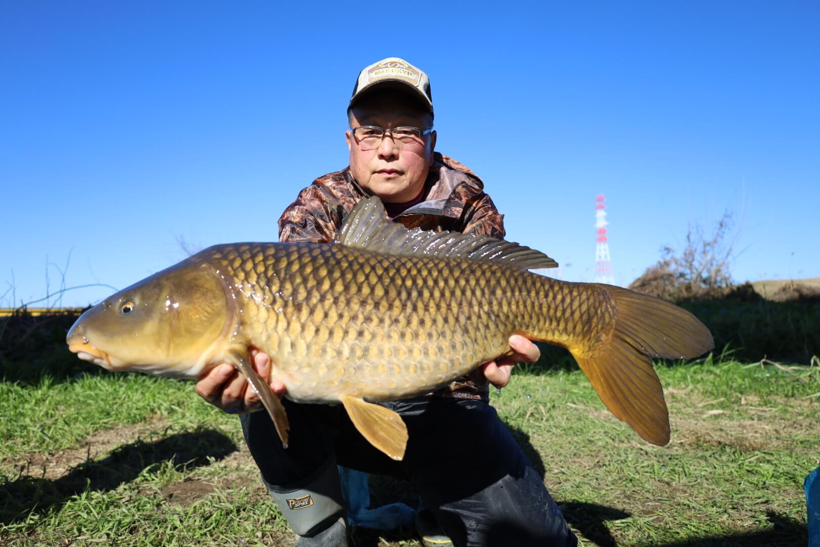 2026年01月05日（月曜日）｜コイ｜茨城県 – 那珂川｜｜フィールド