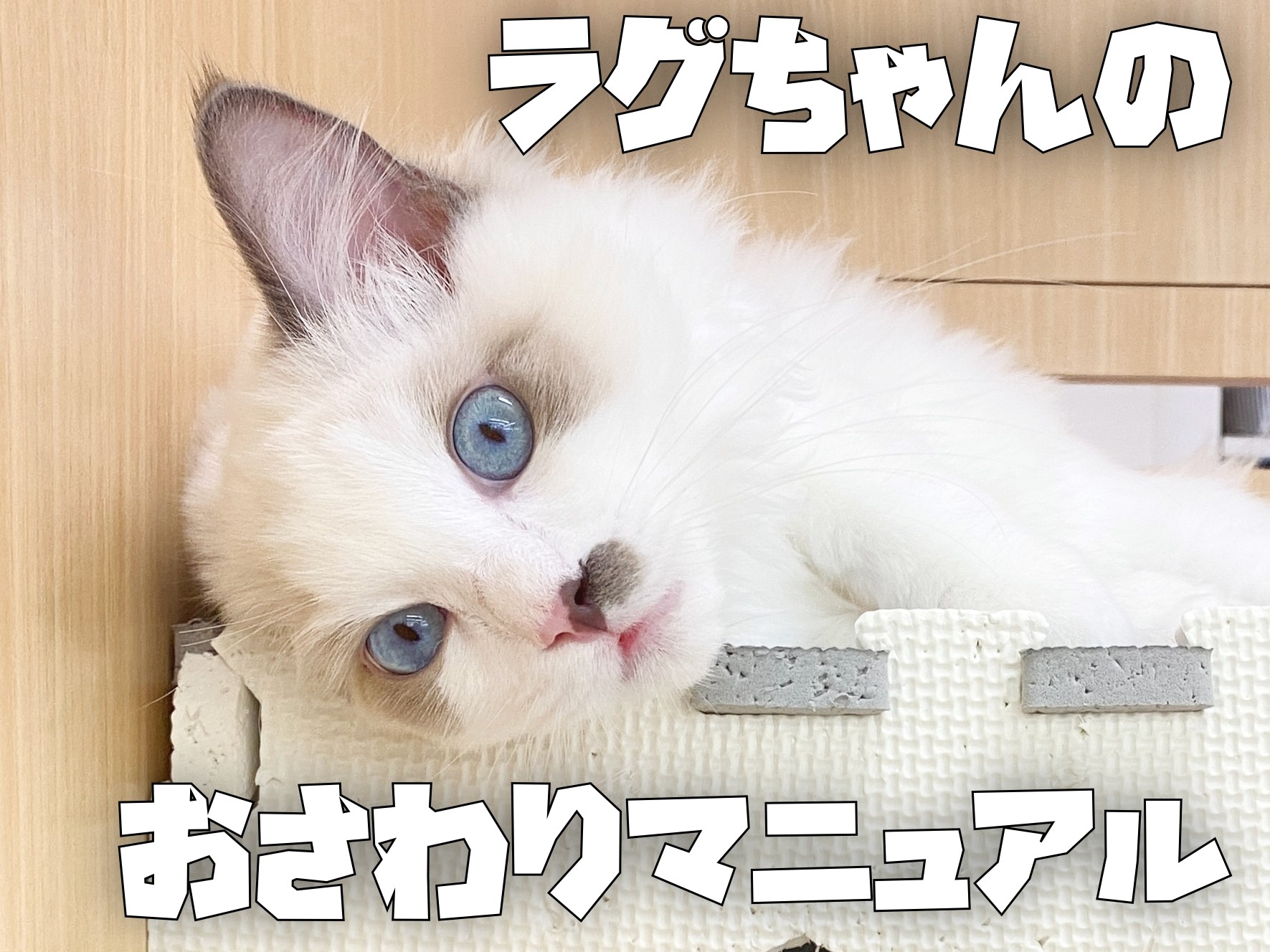 8e111392daf9e8015159aa58175c2c