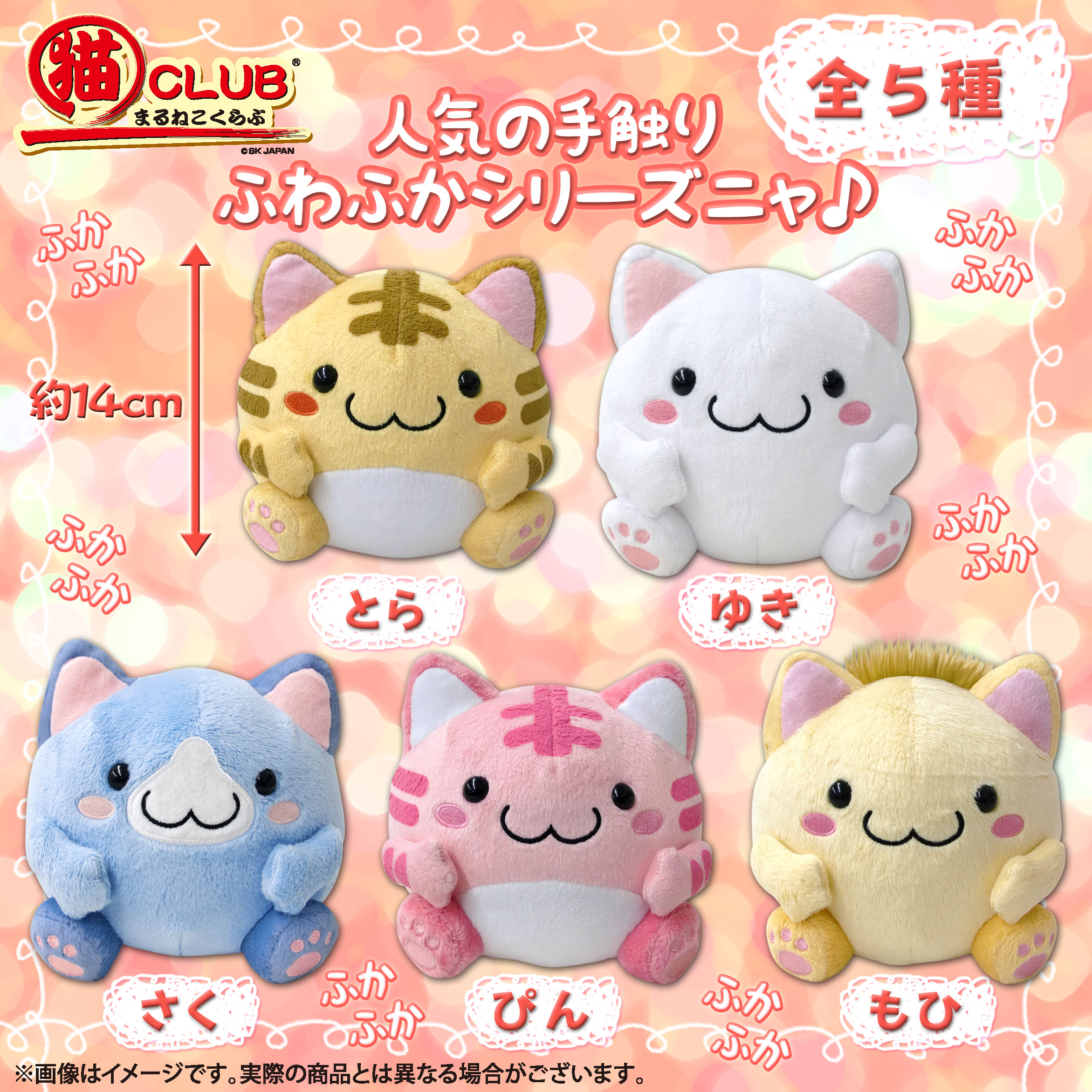 製品紹介：まるねこCLUB