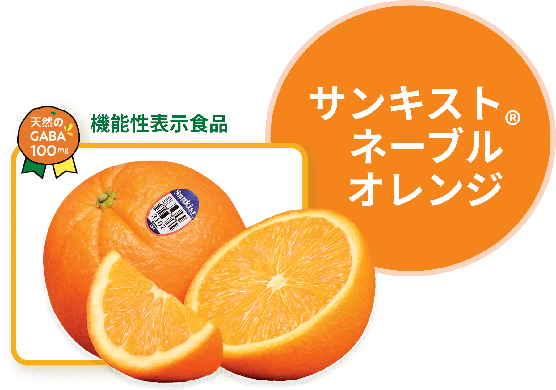 サンキストシトラスの機能性＆栄養 | Sunkist jp