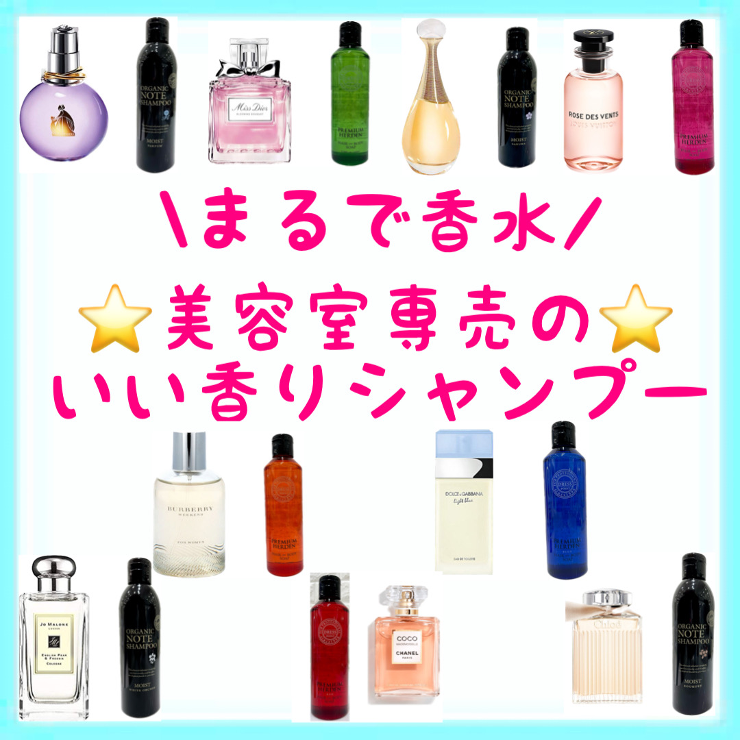 オーガニックノート パルファン シャンプー&ヘアトリートメント セット