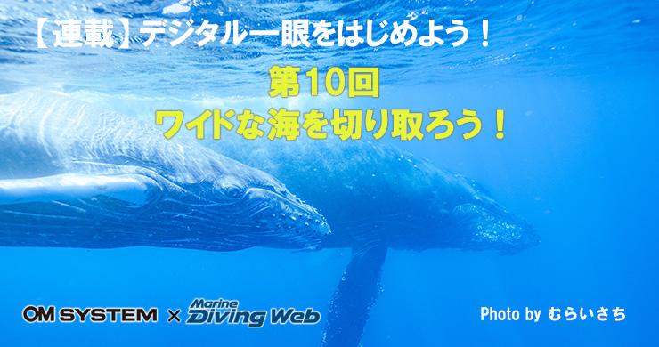 デジタル一眼始めよう！ワイドな海で水中撮影を楽しもう！｜水中写真