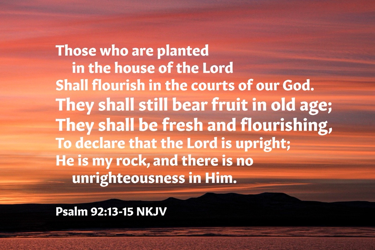 On Aging – Lift Up Your Eyes!