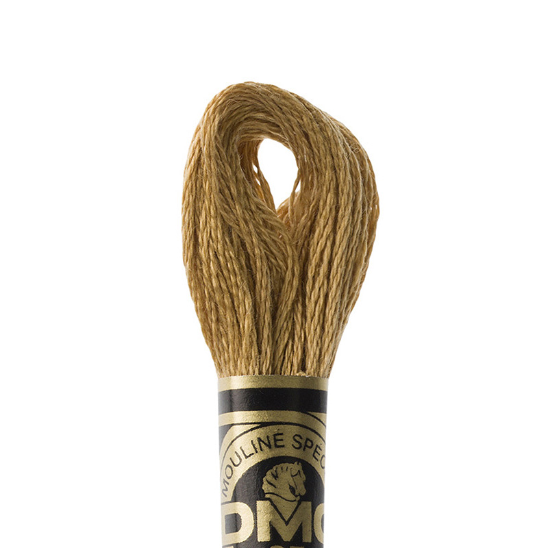 DMC 3828: Hazelnut Brown (6-strand cotton floss) - Maydel Craft